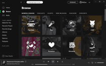 Скриншот Spotify 3